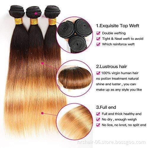 Ombre Brazilian Straight Hair Ombre Bundles With Closure, 3 Ombre Hair Bundles With Lace Closure T1b/4/27